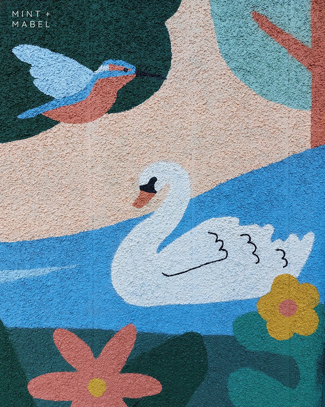 Mint-and-Mabel-Canals-Trust-swan.jpg