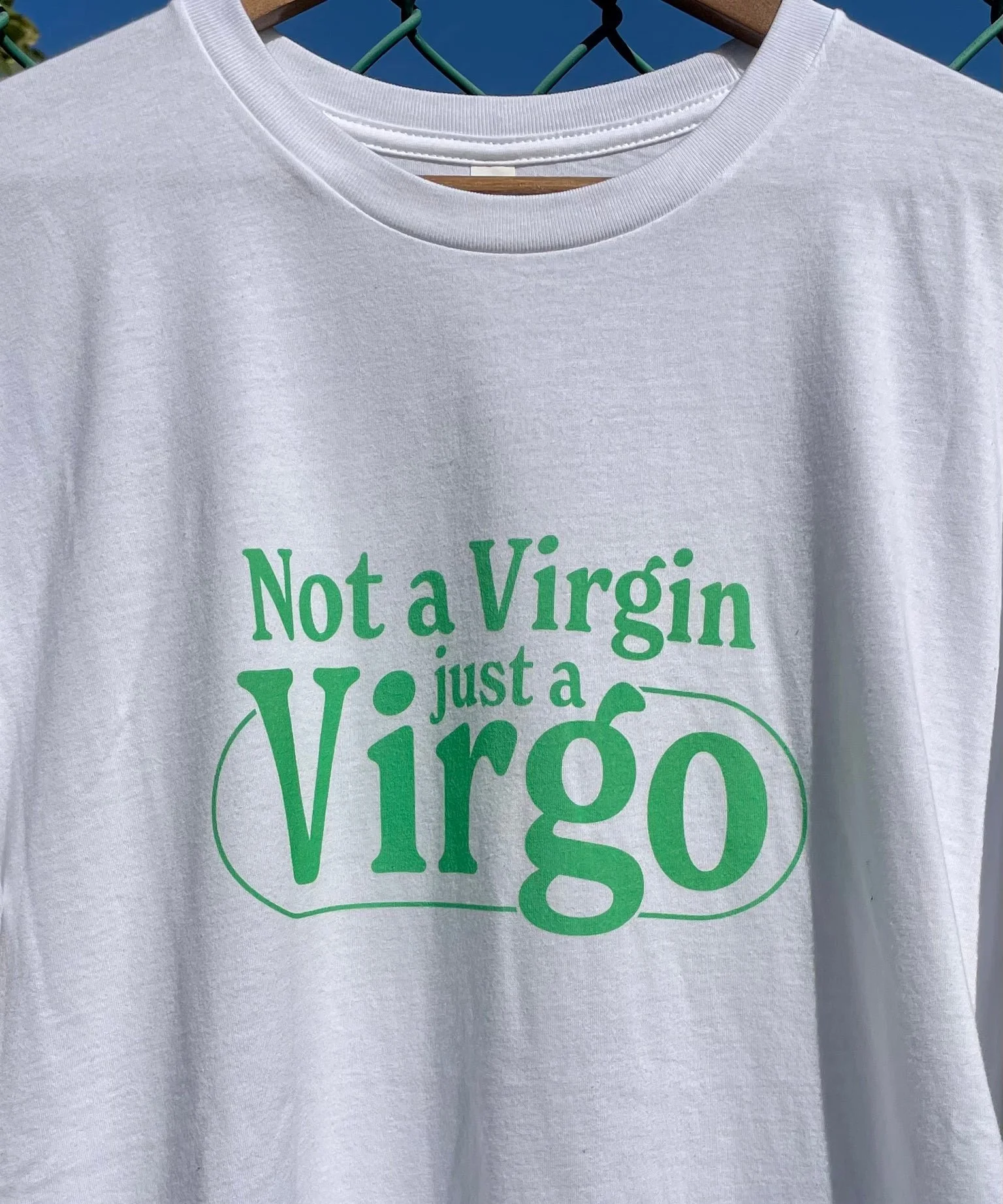 virg1.jpg