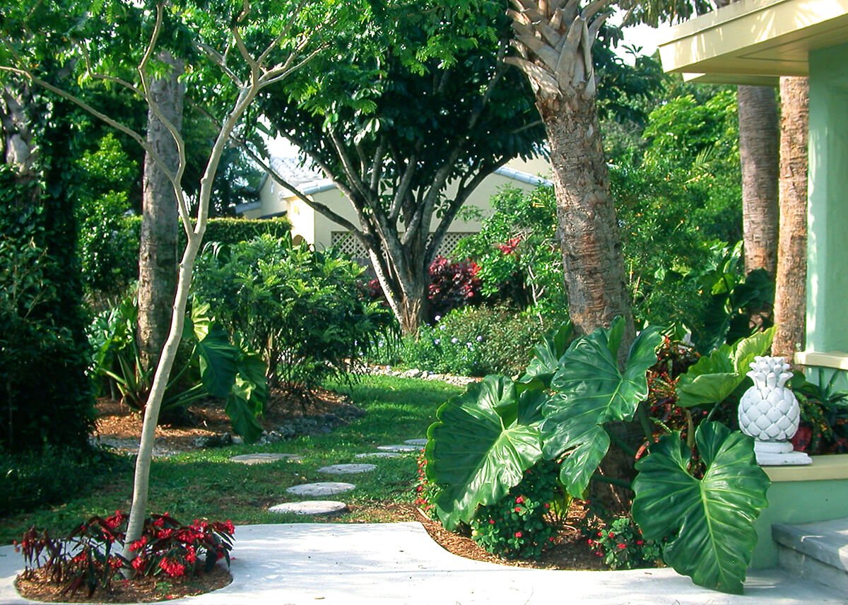 FLORIDA TROPICAL MODERN ARCHITECTURE-VICTORIA PARK ARCHITECT (2).jpg
