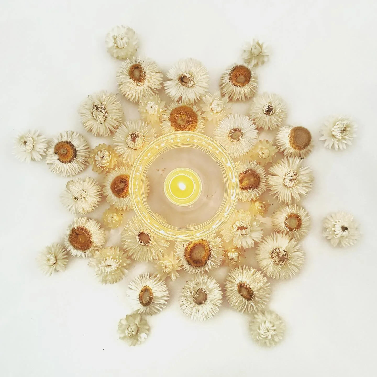 01212025 • new moon • libra • reflection • introspection • recalibration • returning to balance • daily • gentle streams • soft chimes • soothing touch • a silent sigh • closing eclipse gate