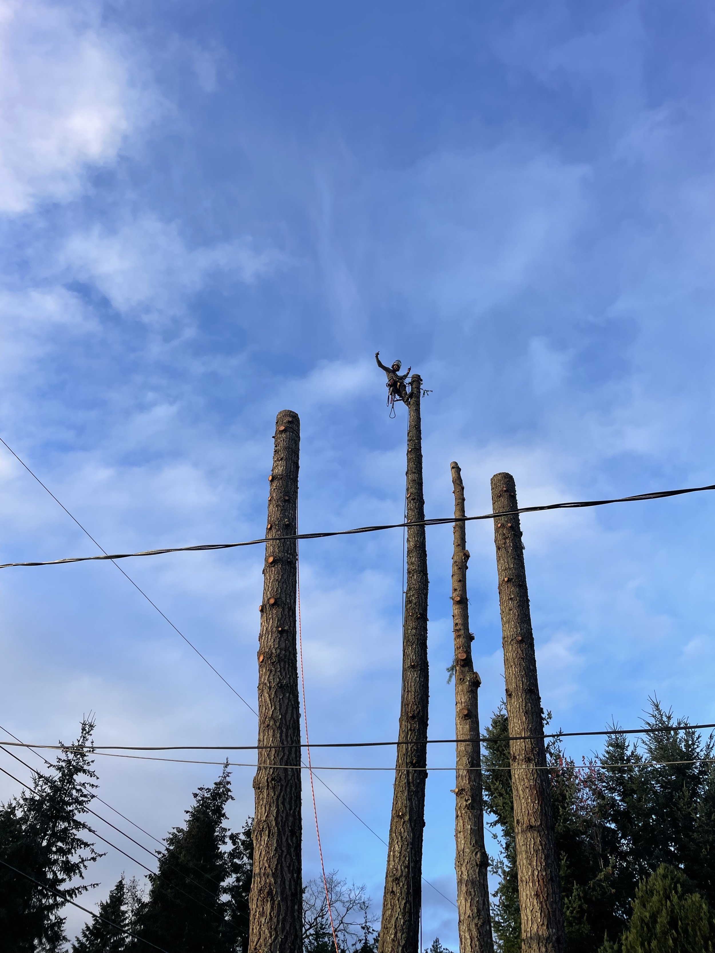 IMG_1623.jpeg