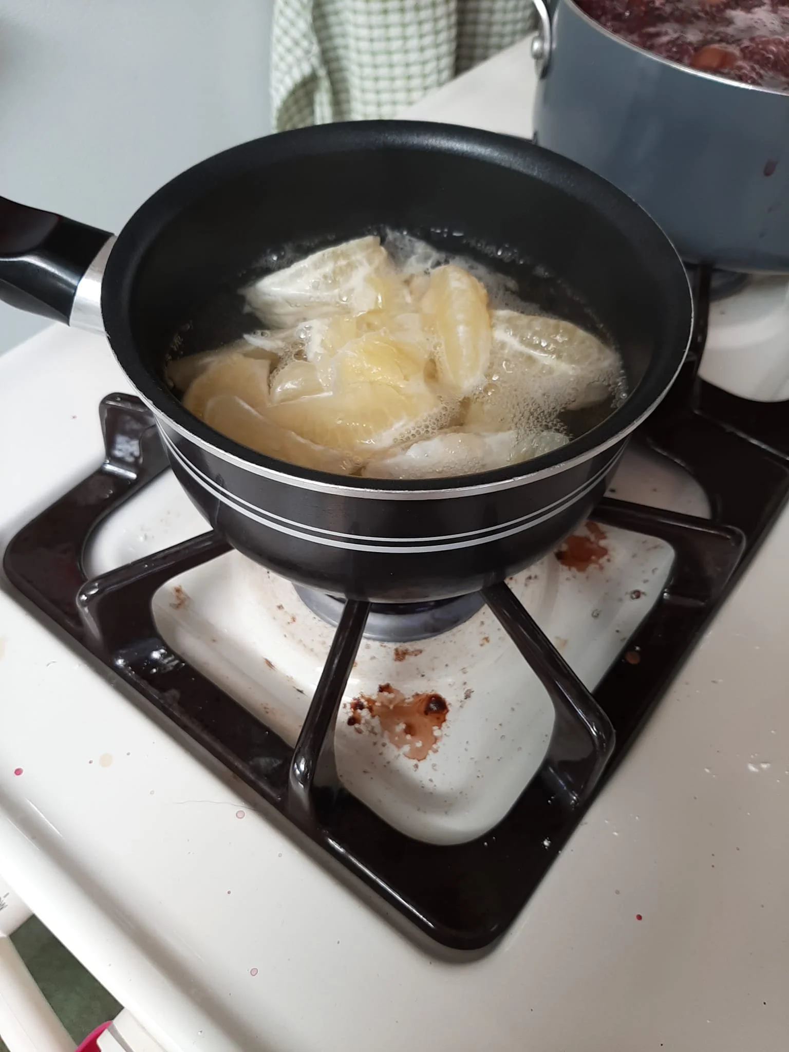 DIY Lemon Juice — Provident Living Academy