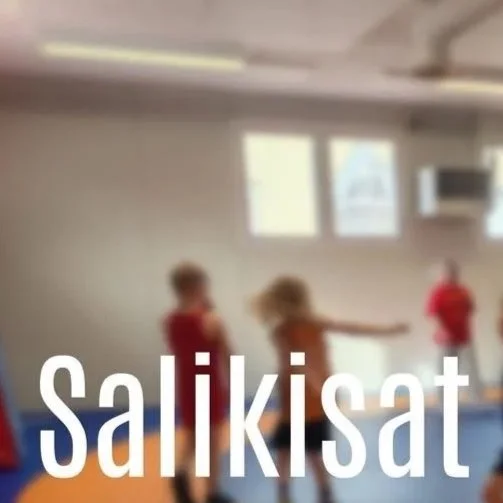 Painin salikisat