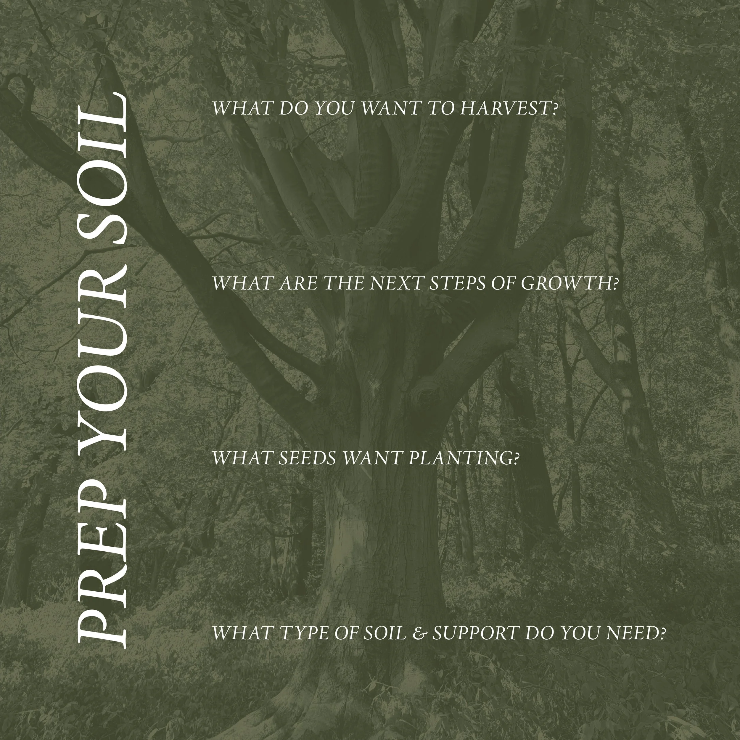 New Moon Reset Sep 12-02.jpg