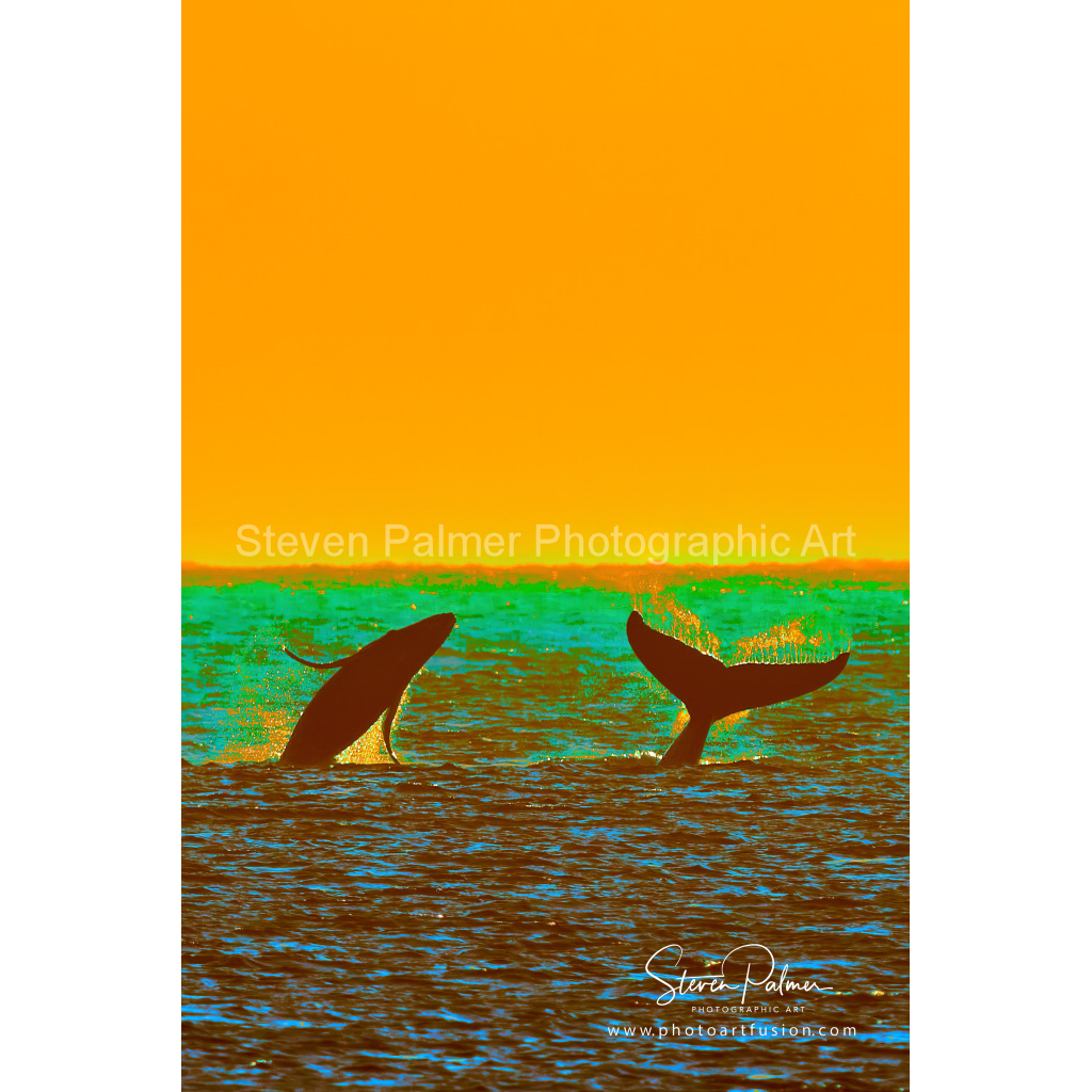 image_original_3b7f9682ba7ceed8567e6525d981d661.png