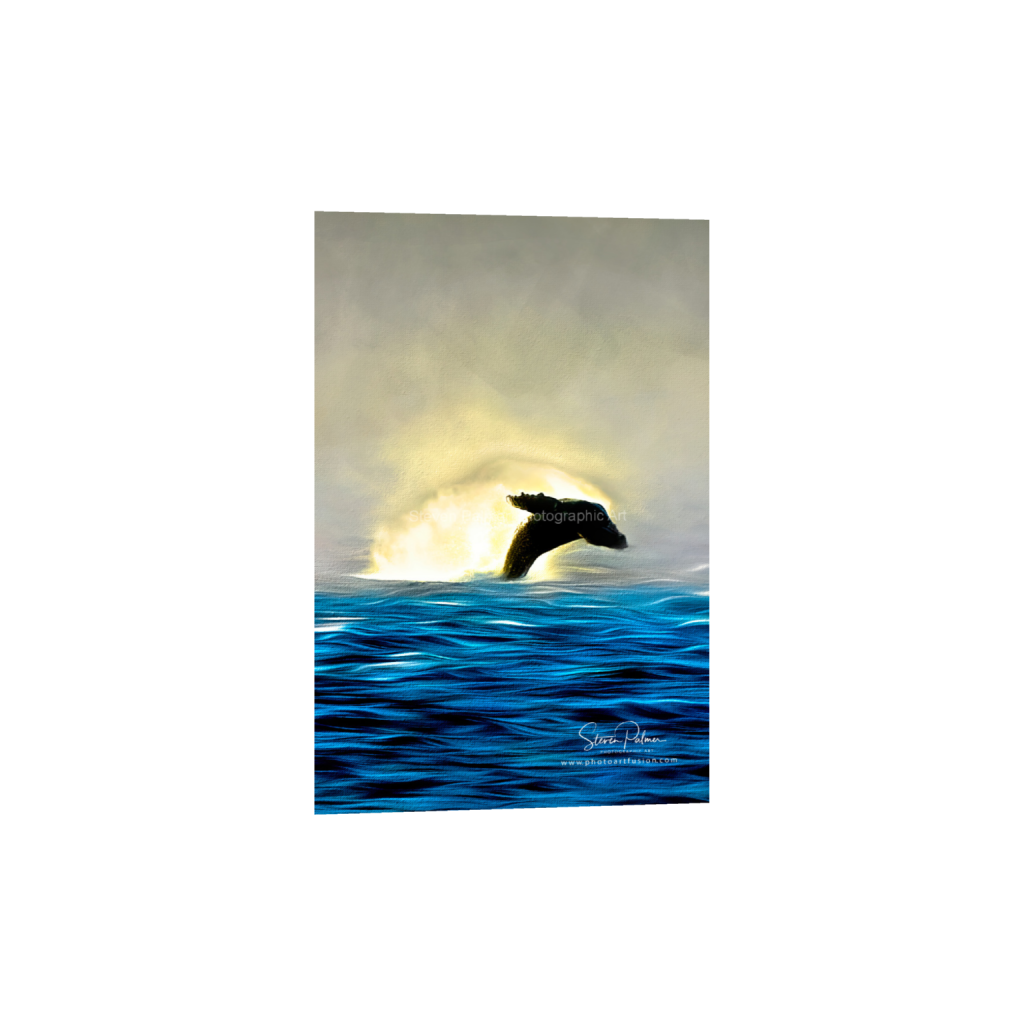 ptq_1_3_0_0_7199_10798_0_false_ffffff_0_0_3b7f9682ba7ceed8567e6525d981d661.png