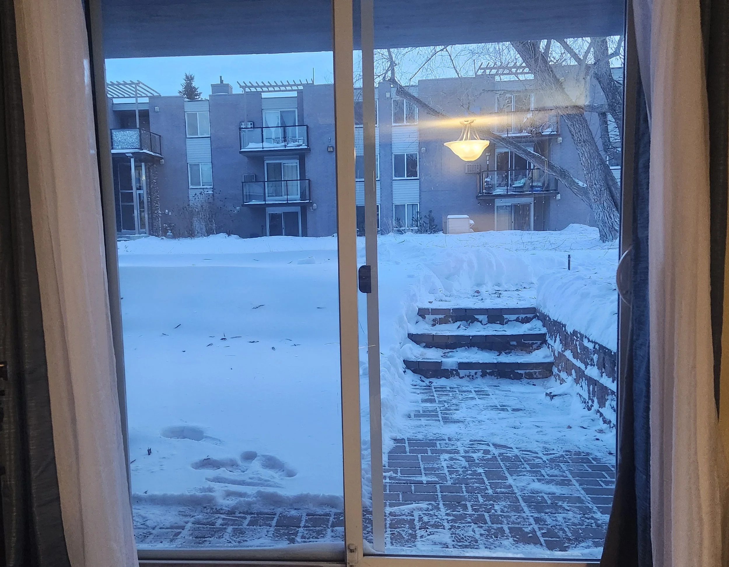 Tuning Your Piano with the Changing Seasons