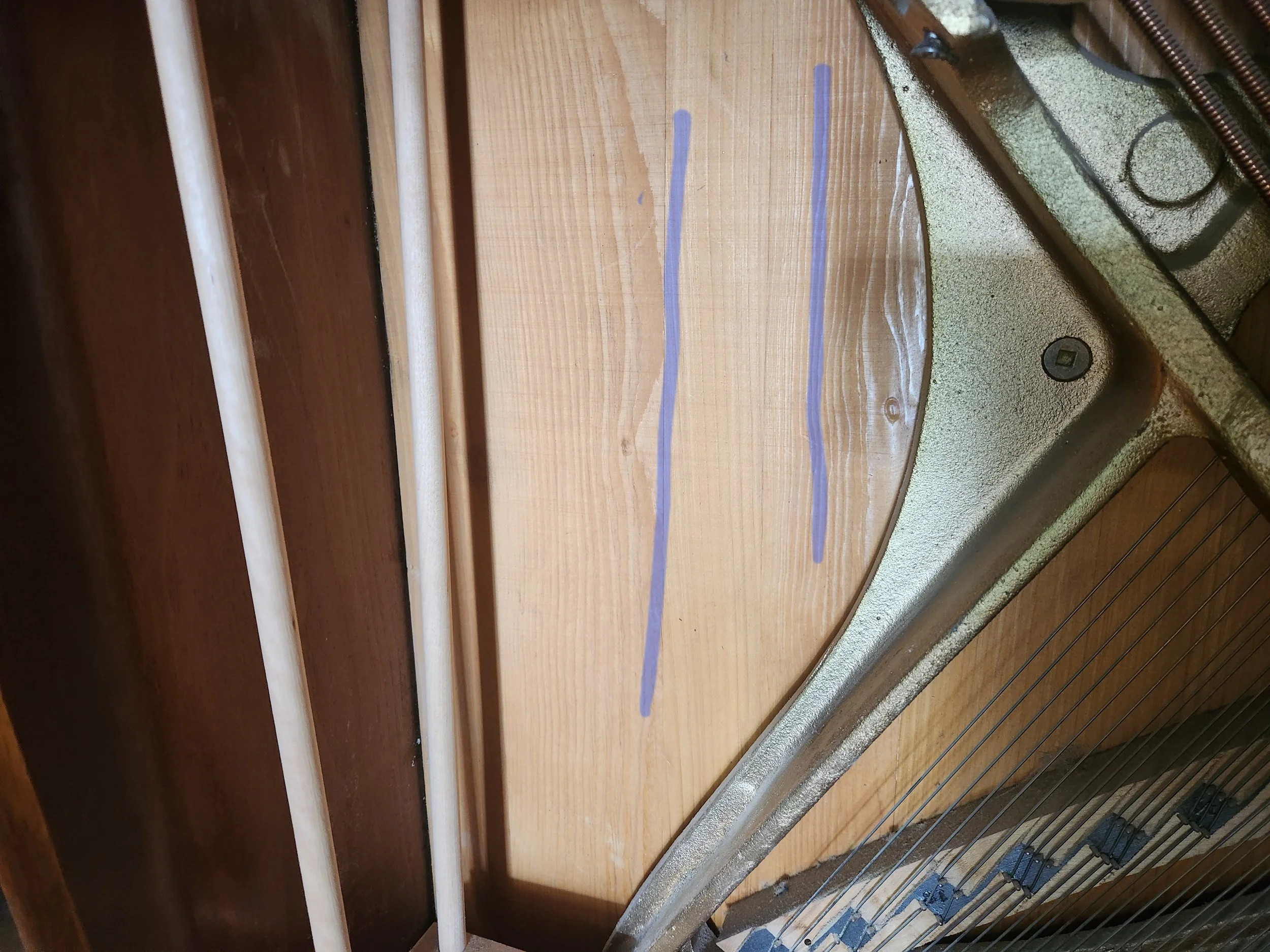 vertical grain in the soundboard.jpeg
