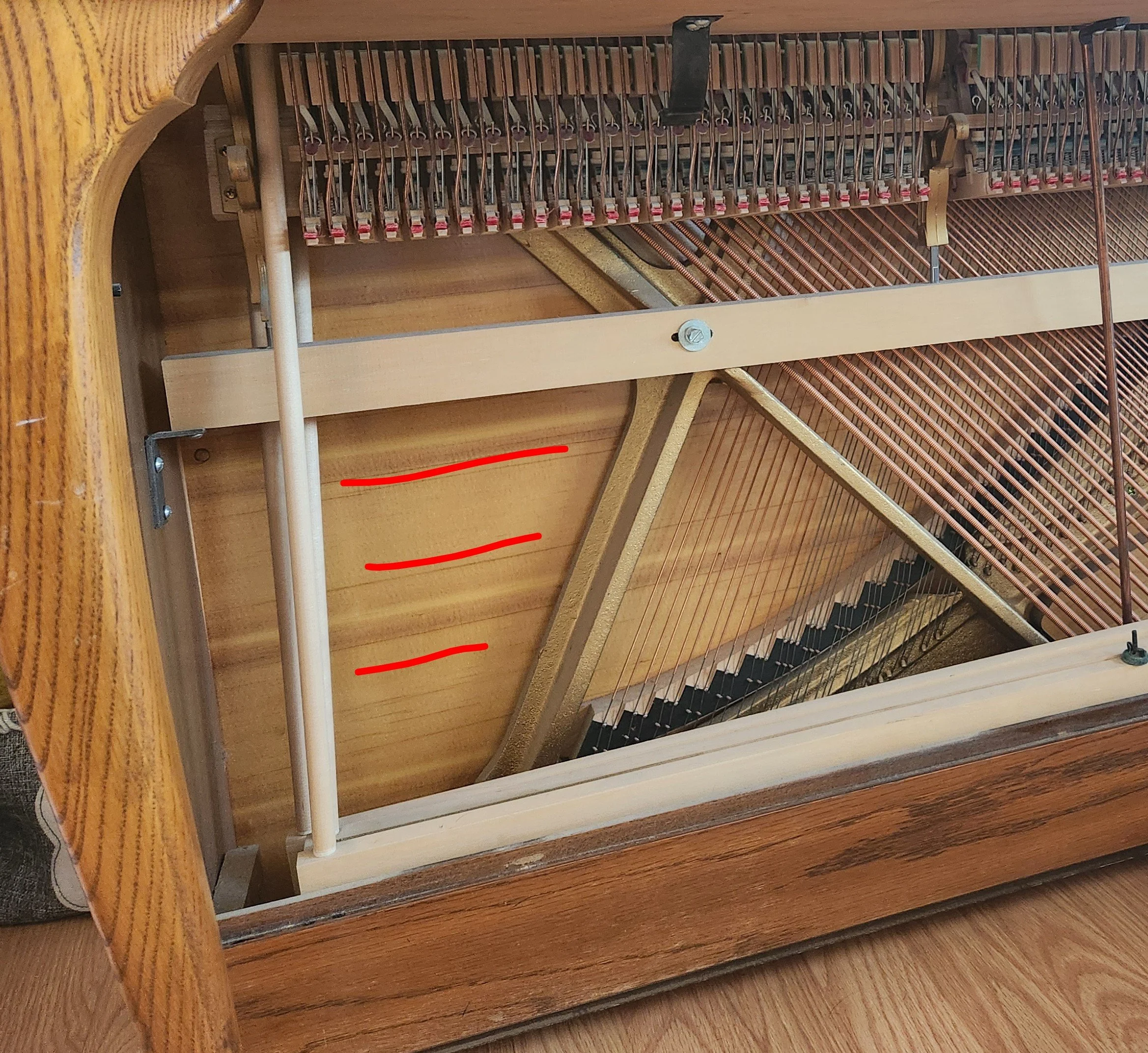 horizontal grain in the soundboard.jpeg