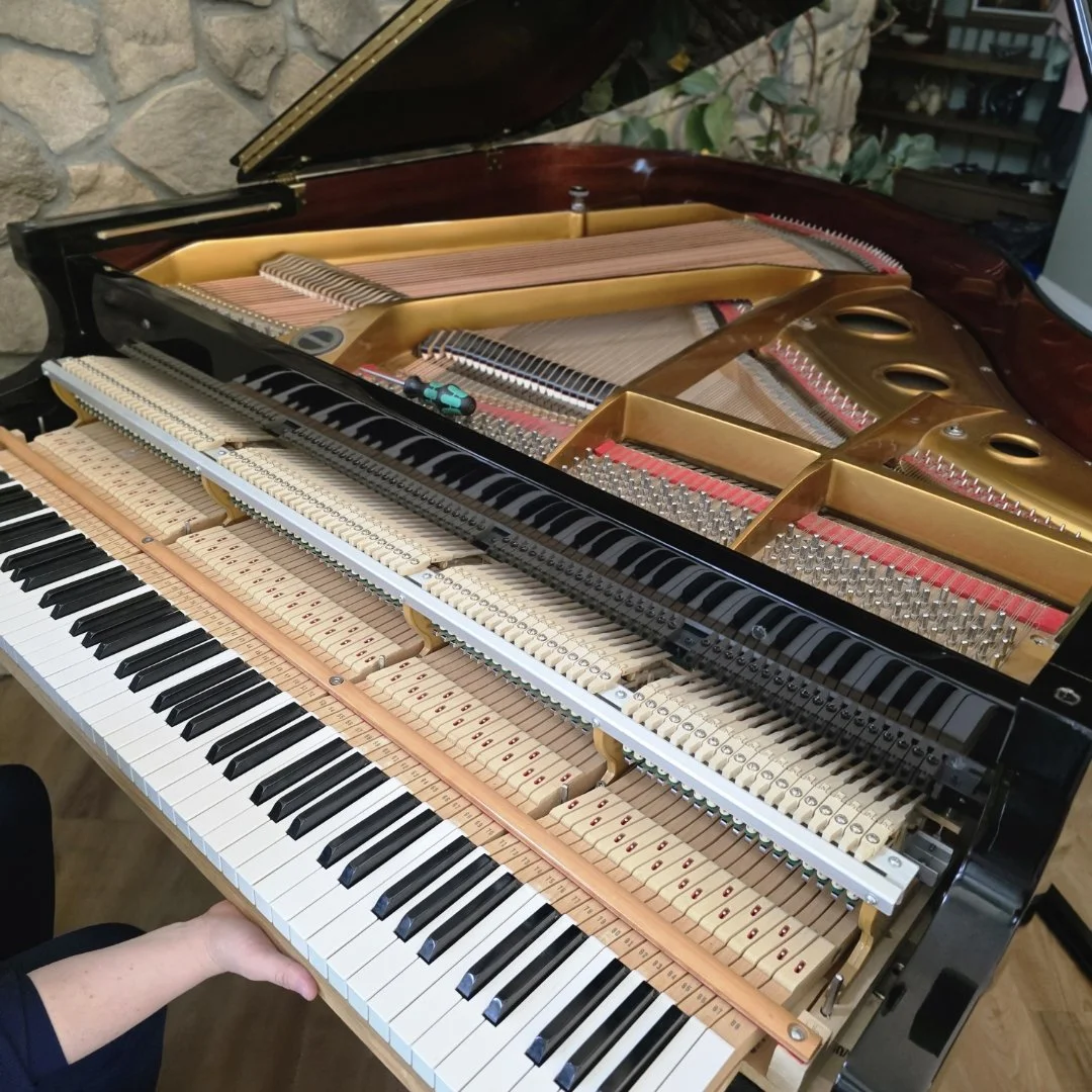 A grand piano with its keyboard and action exposed, revealing the inner strings, hammers, and intricate components inside the piano body.