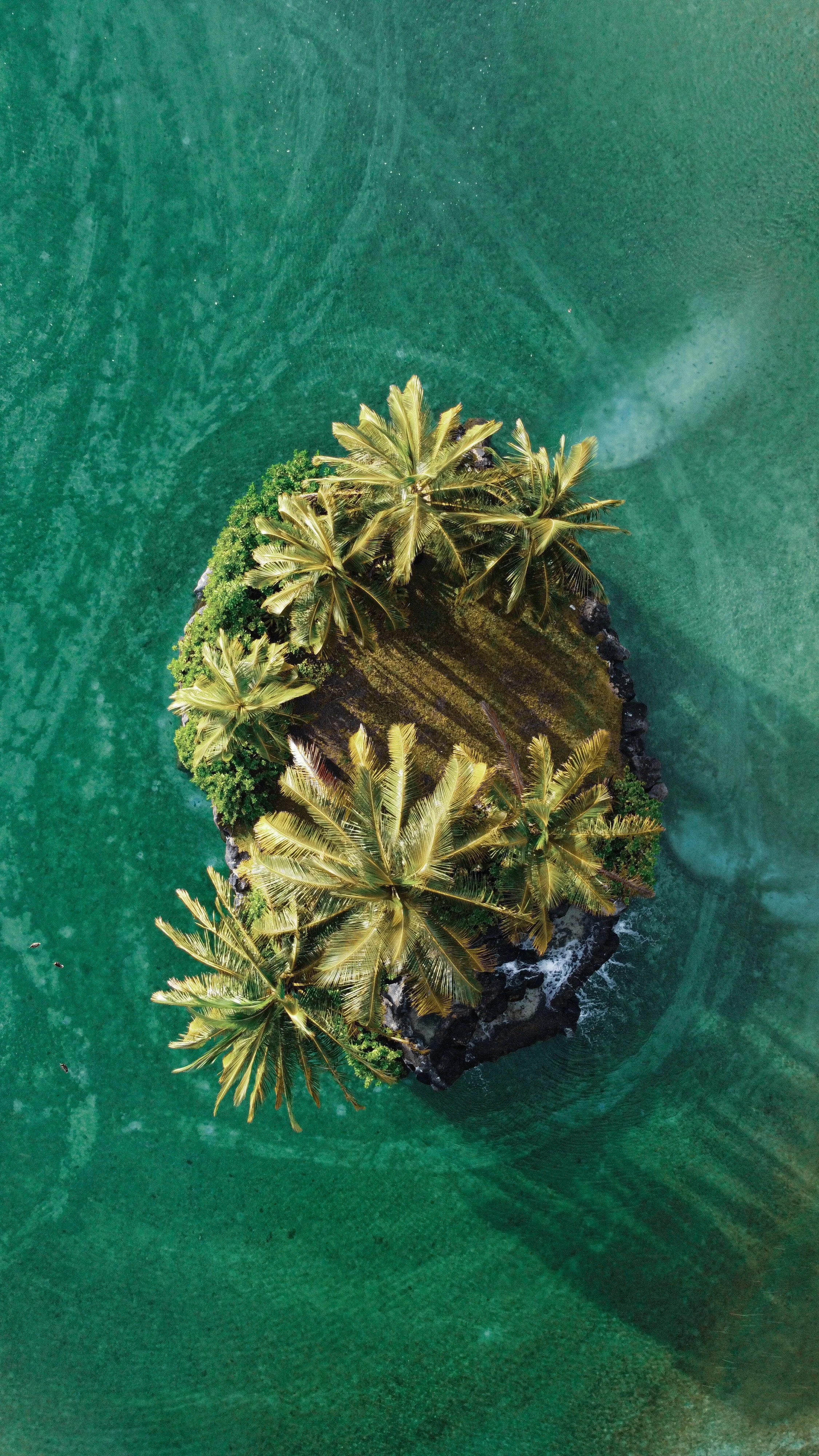 6D4009C1CEAB14D2AFB33ECE2CAA22E2 2.JPG