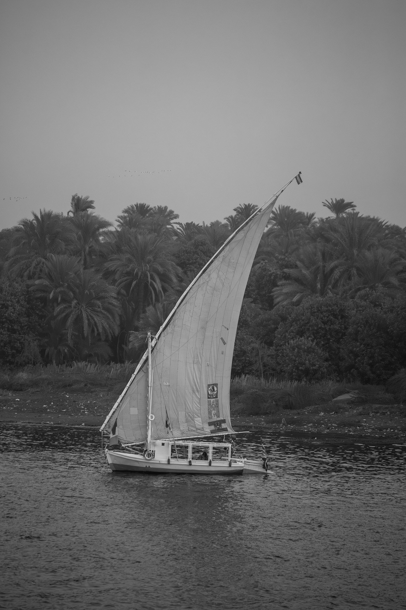 1R0A3882.jpg