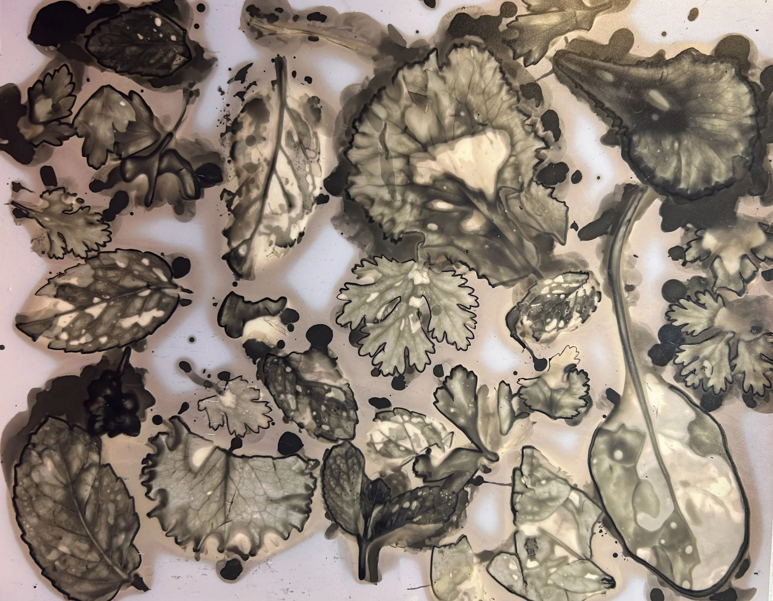 Floral Printing Workshop