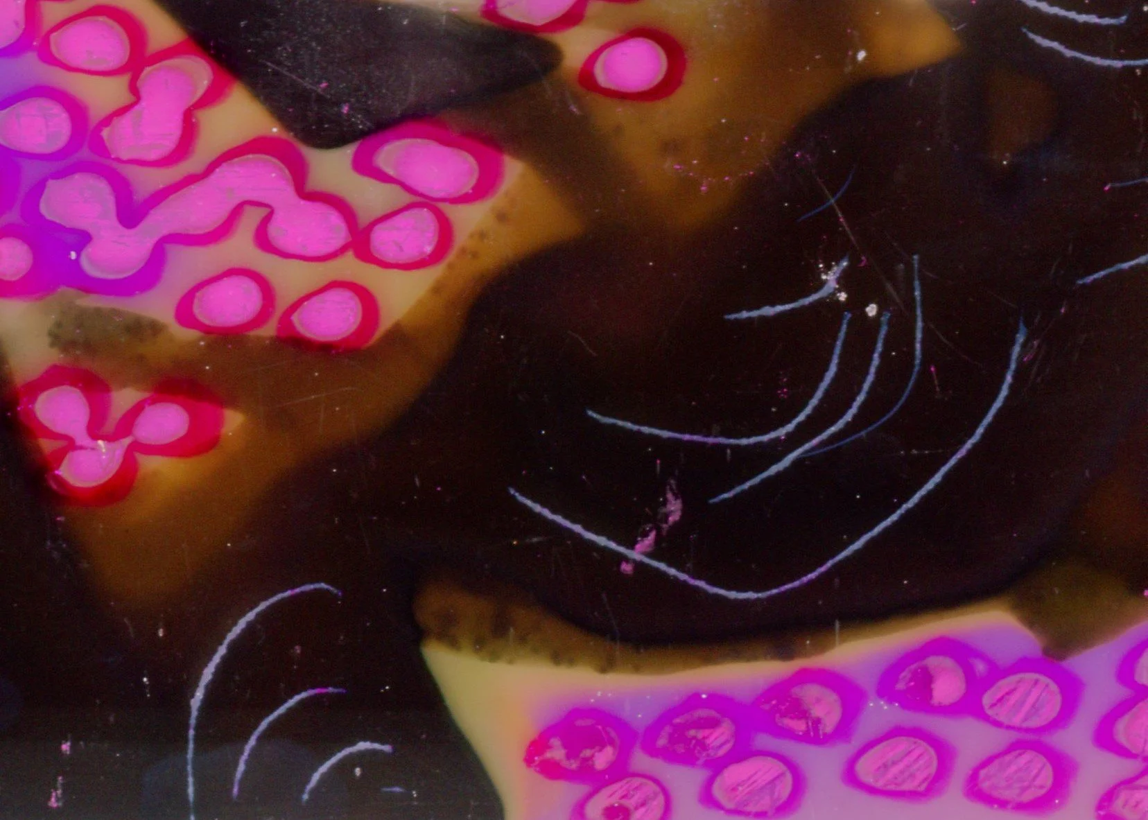 Direct Animation Workshop