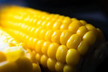 2026 Corn Roast Admission Ticket