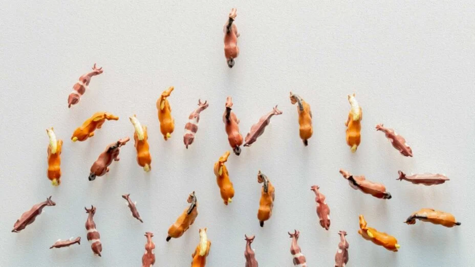 Followership: An Essential Component of Engagement and an Antidote for Quiet Quitting