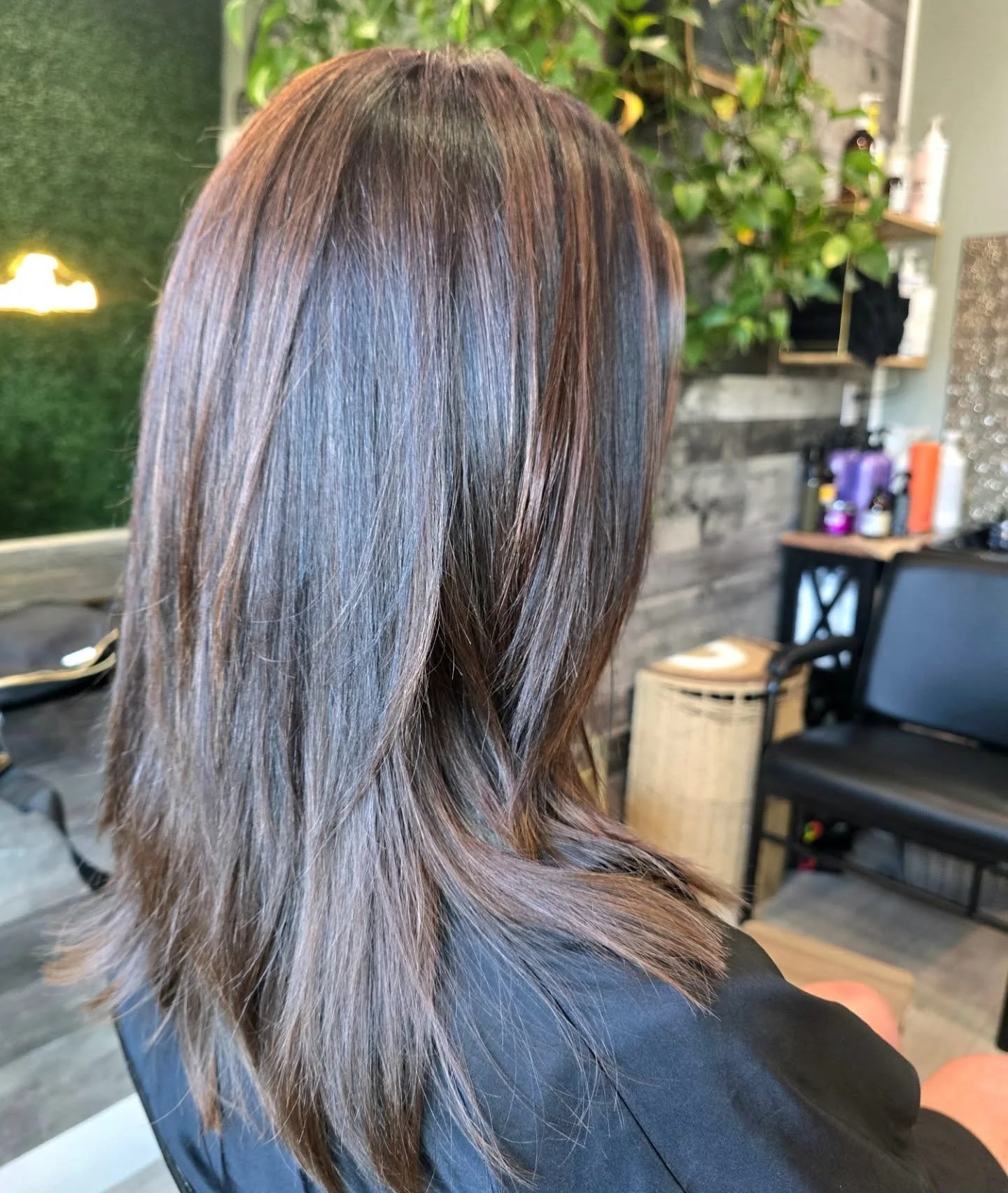 #fraservalleyhair #fraservalleyhairdresser#fraservalleyhairstylist #fraservalleyhairsalon #goldwell #goldwellcolor #behindthechair#missionhair#thevanityden #lowlights #brownhair #brunettehair