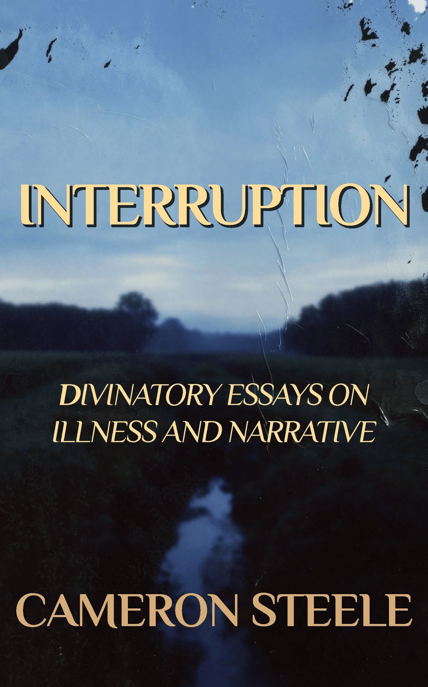 A Book Launch Party for Interruption: Divinatory Essays on Illness and Narrative