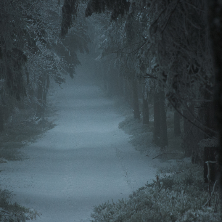 HDC Site Images winter.png