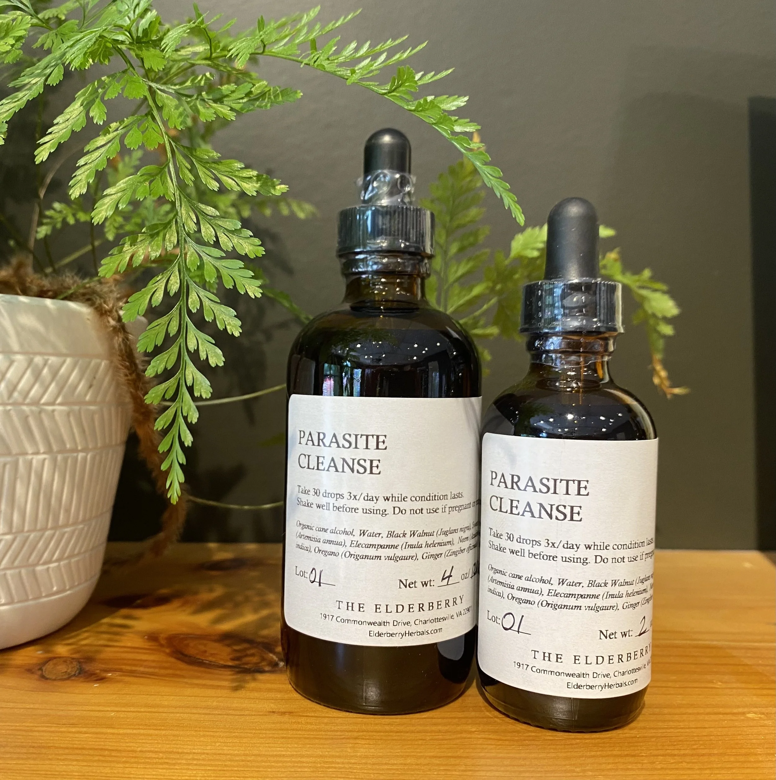 Parasite Cleanse.jpg