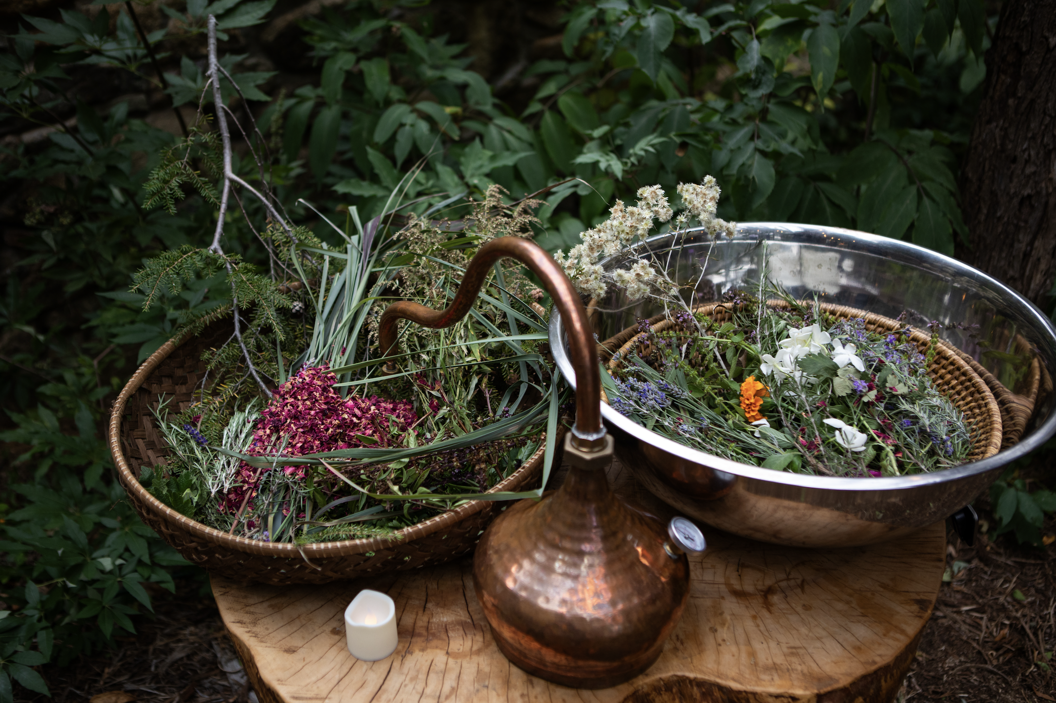 The Language of Herbal Energetics