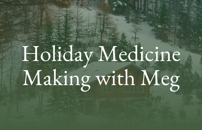 Holiday Medicine Making: Dried Plant Tinctures