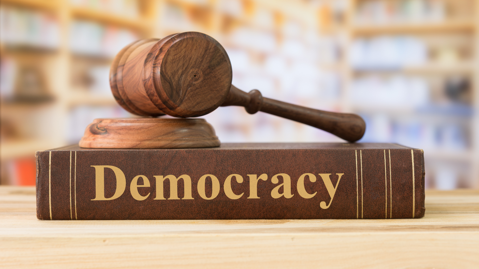 Voting Rights & Democracy Protection