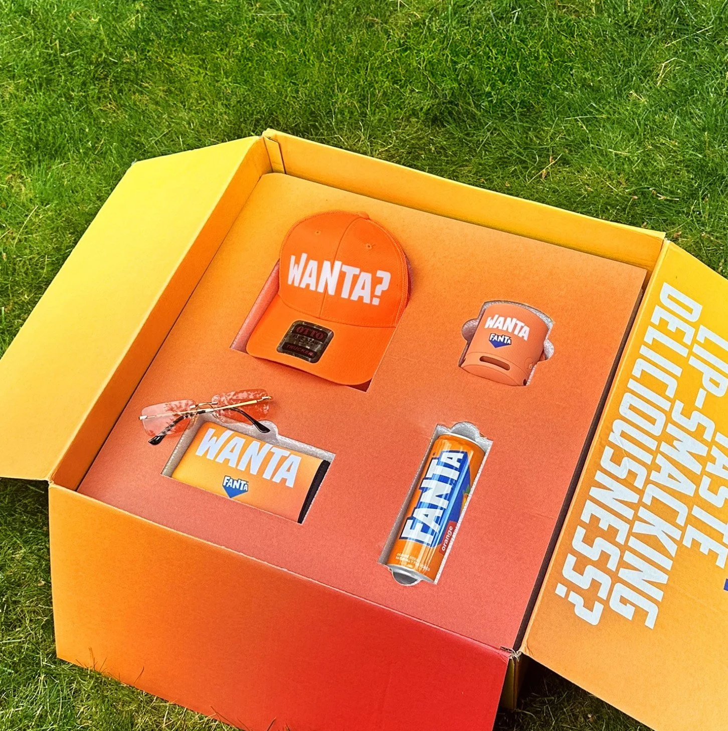 wanta box.jpg