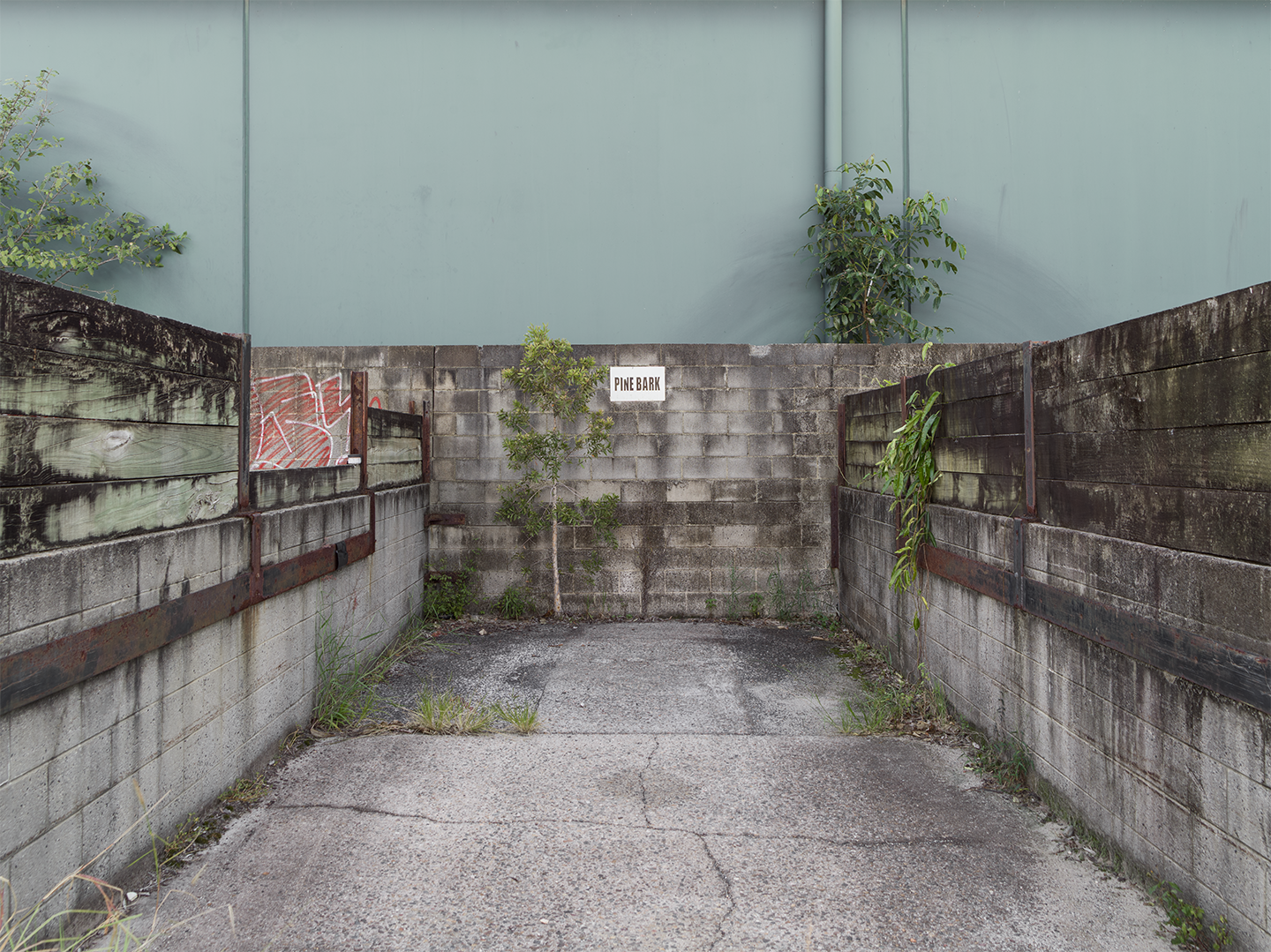 B0009584-HDR.png