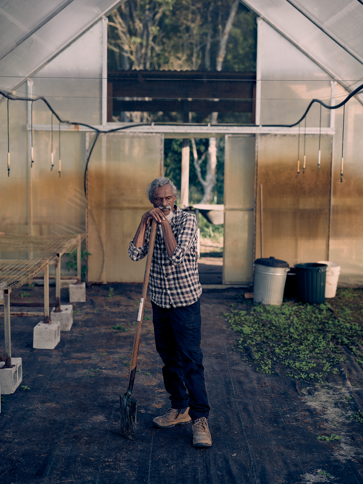 uncle-mark-nursery-2026.6.23-JBMF7781.png