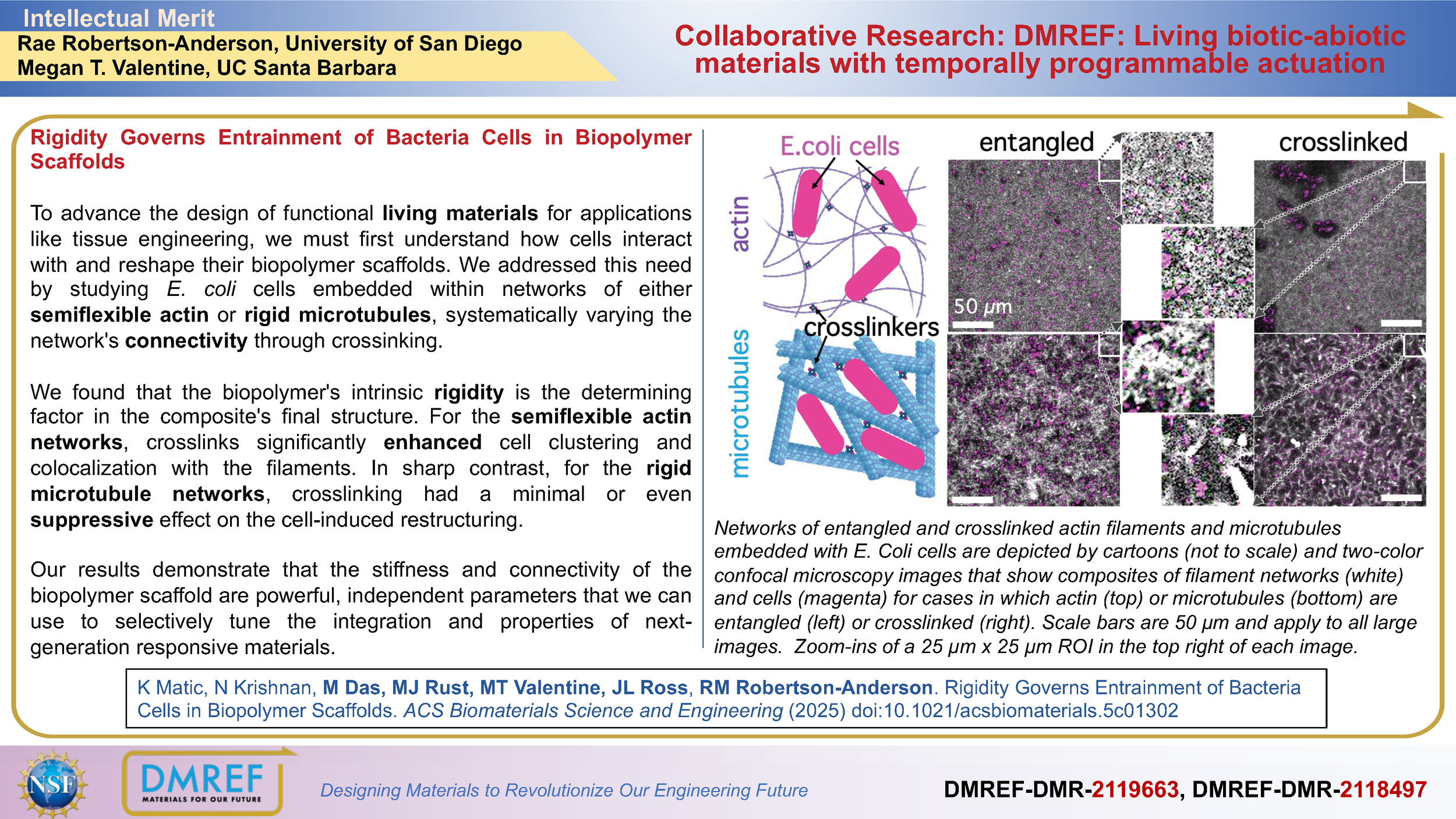 Dmref Gallery 1 — Living Biotic-Abiotic Materials