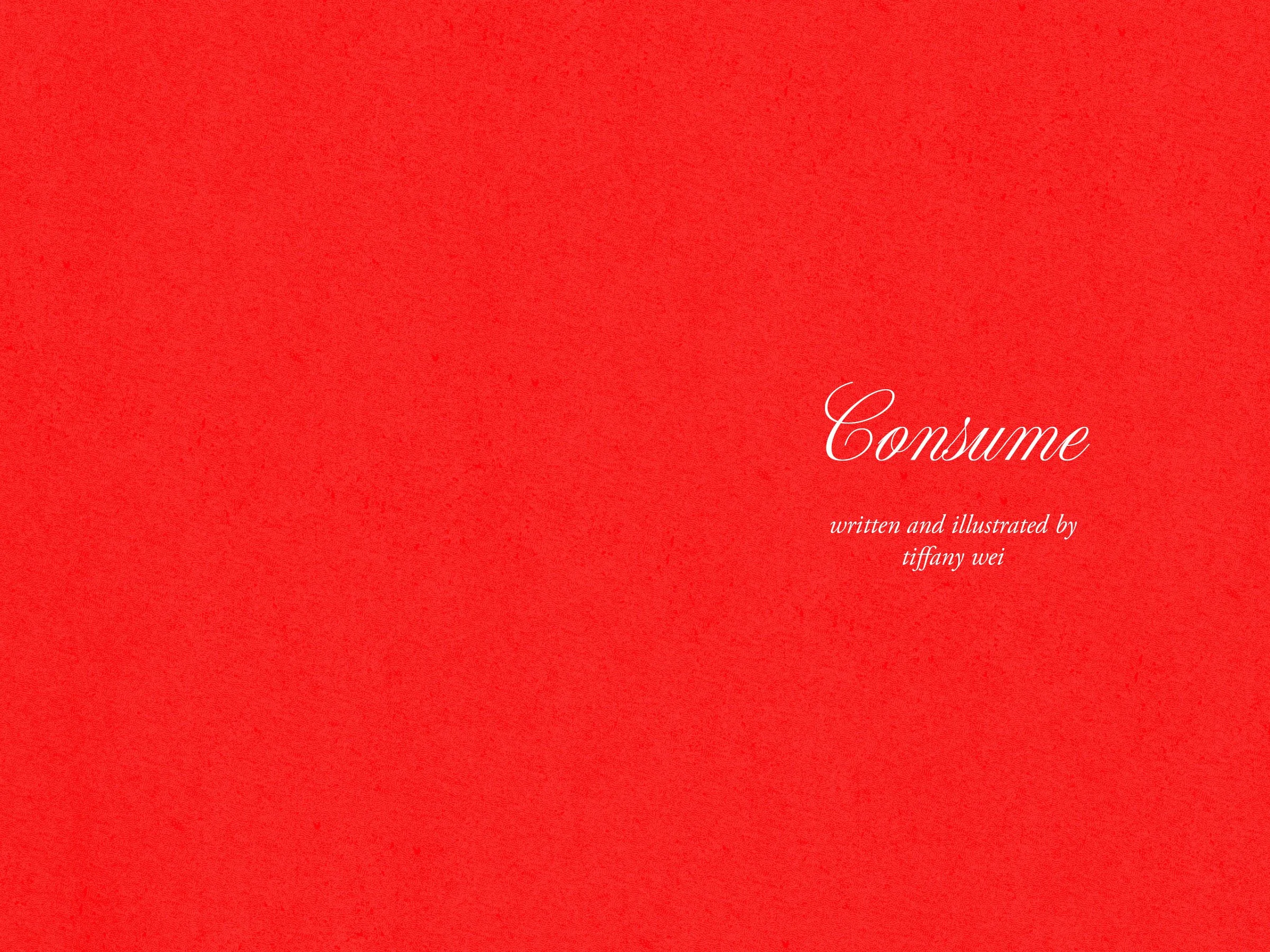 Consume Zine pages 2-3.jpg