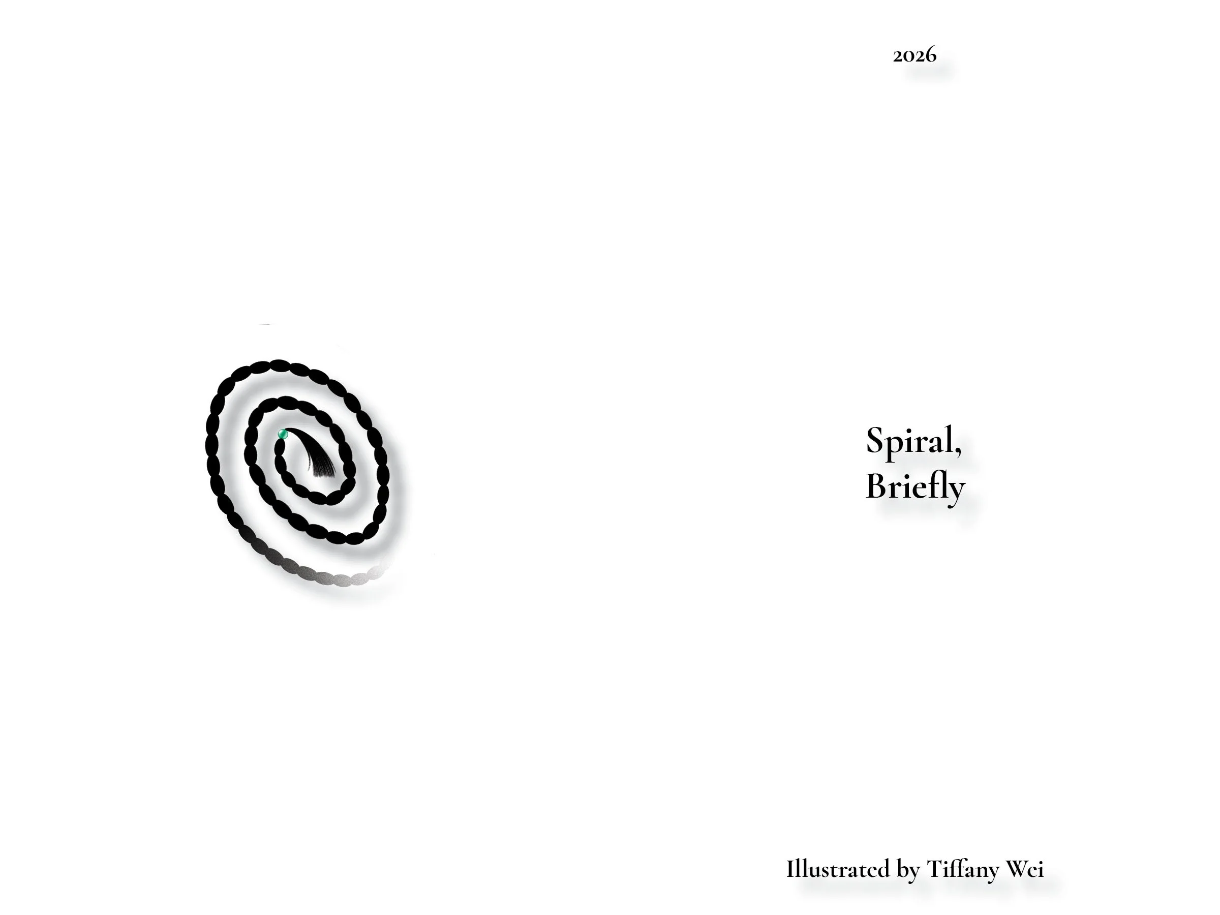 Spiral Briefly Zine .jpg