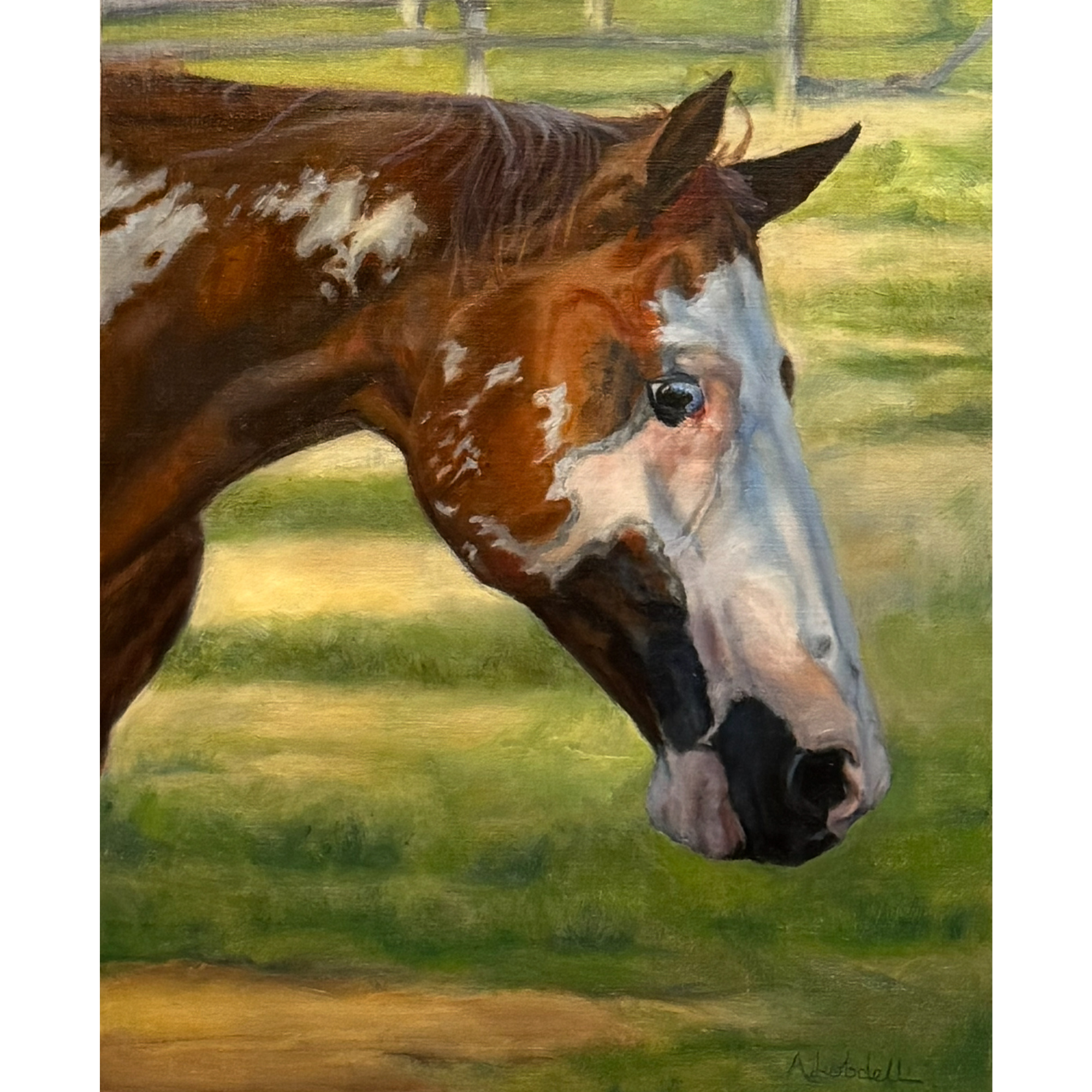 King the Horse  ~ Original & Prints