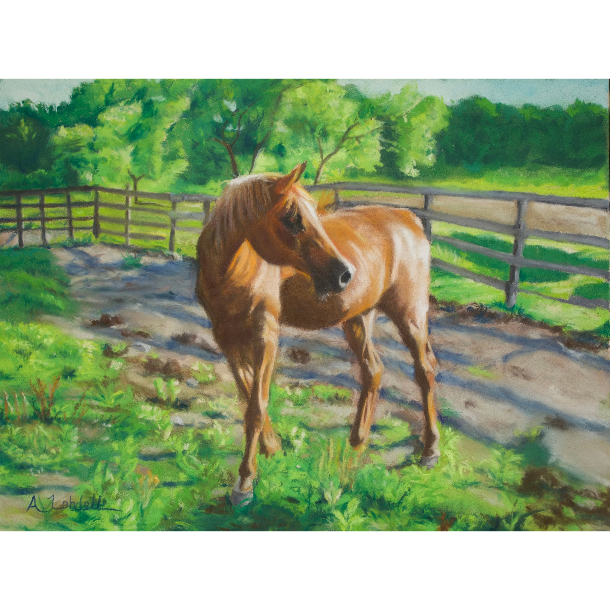 Fiona the Horse ~ Original & Prints