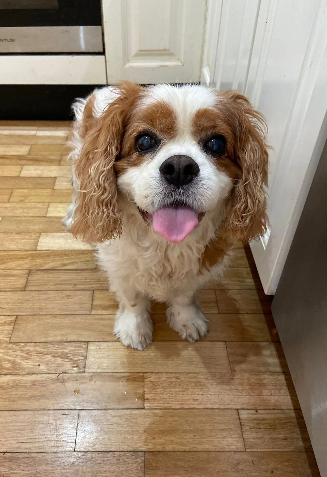 WhatsApp Image 2023-03-11 at 14.14.51 2.jpg