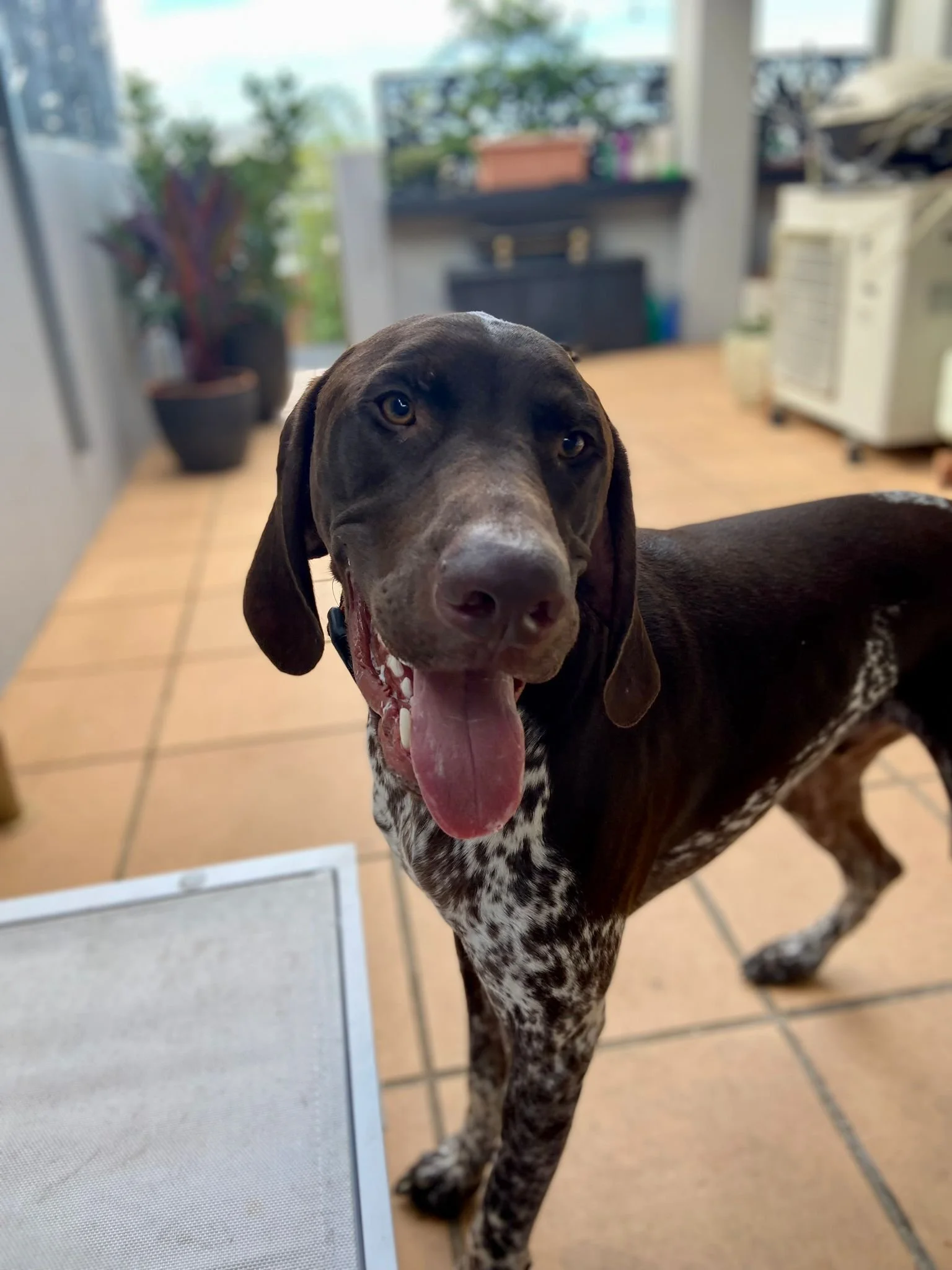 WhatsApp Image 2023-09-21 at 14.38.22vfdsdsvdsvvdddv.jpg