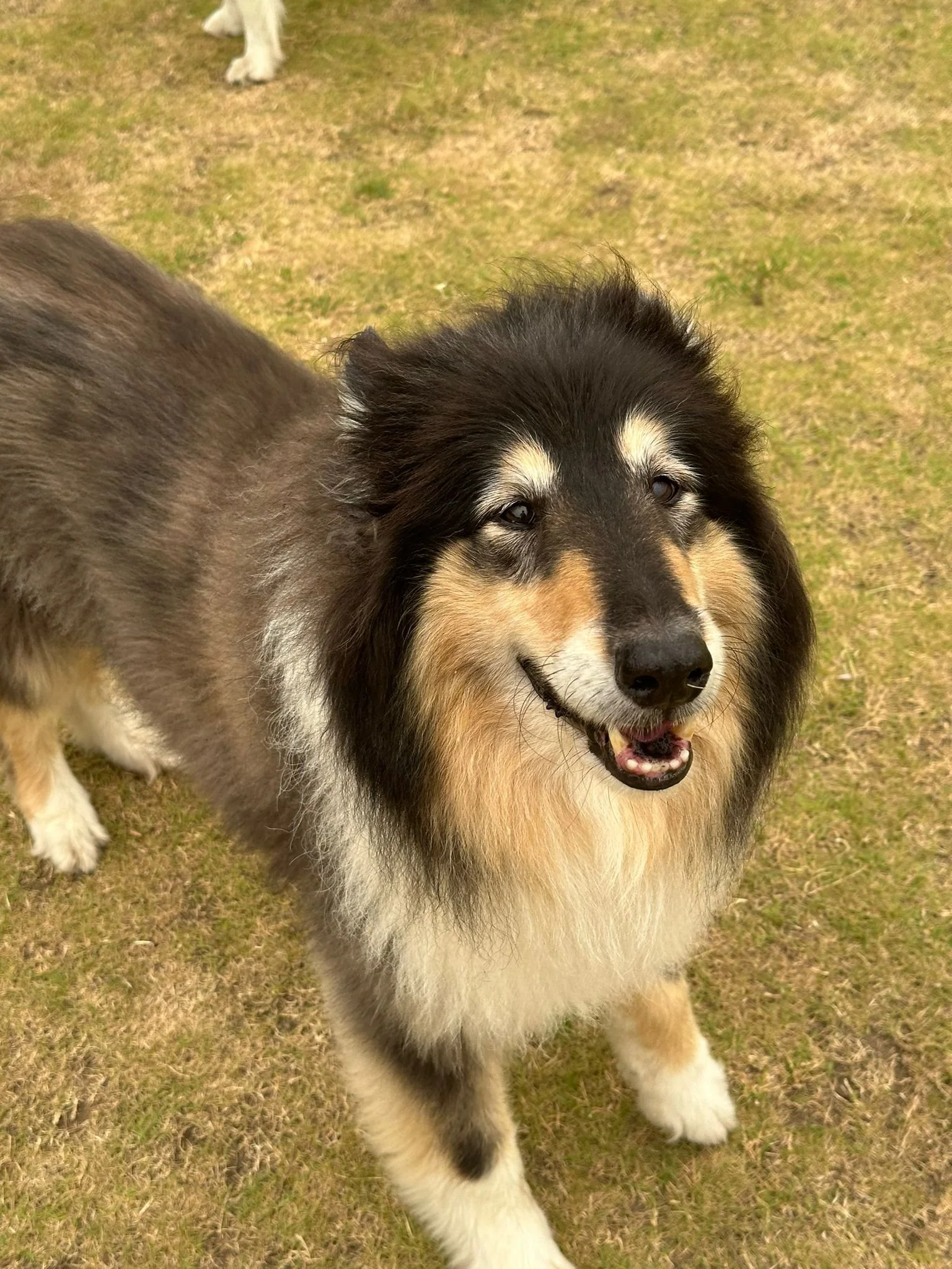 WhatsApp Image 2023-12-23 at 22.48.59_55b586a1gddgddfdfdsfds.jpg