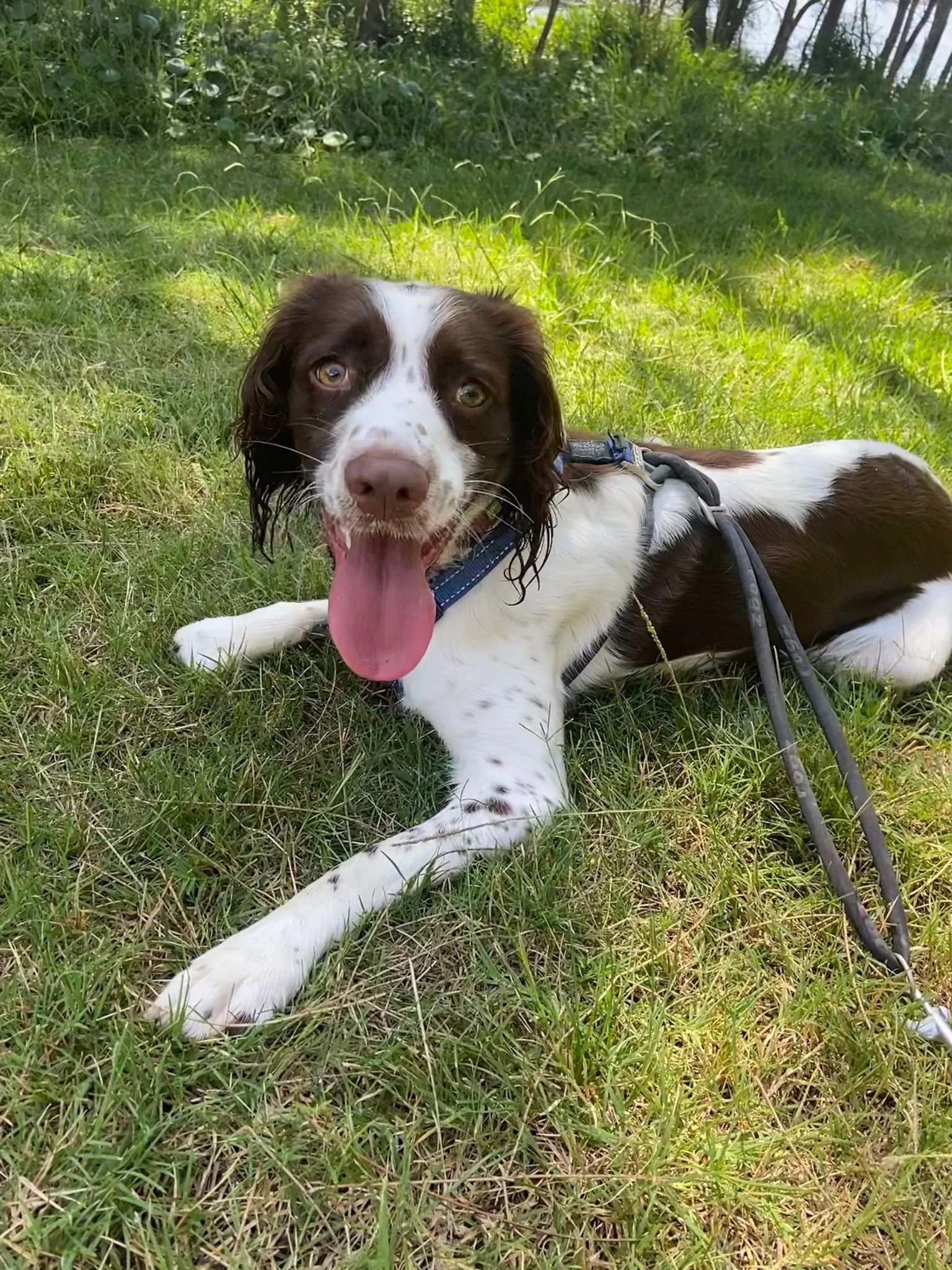 WhatsApp Image 2023-09-21 at 14.38.20vdsfvvdsvdvdds.jpg