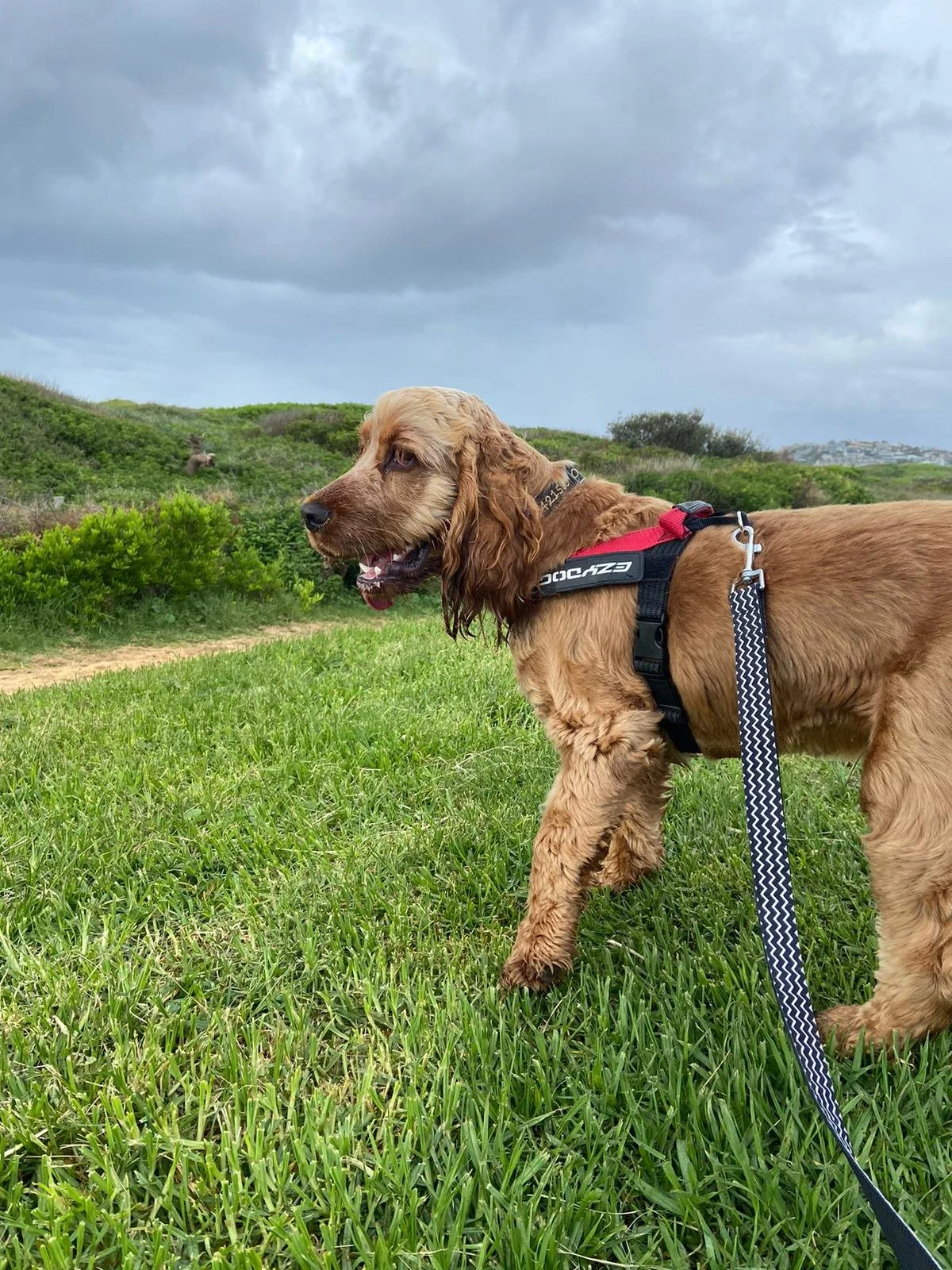 WhatsApp Image 2023-03-11 at 14.15.01.jpg