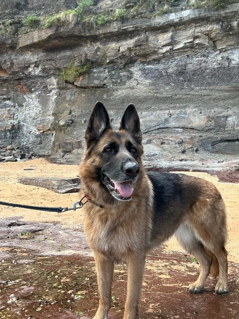 WhatsApp Image 2023-11-13 at 15.22.37_ae5caecb.jpg