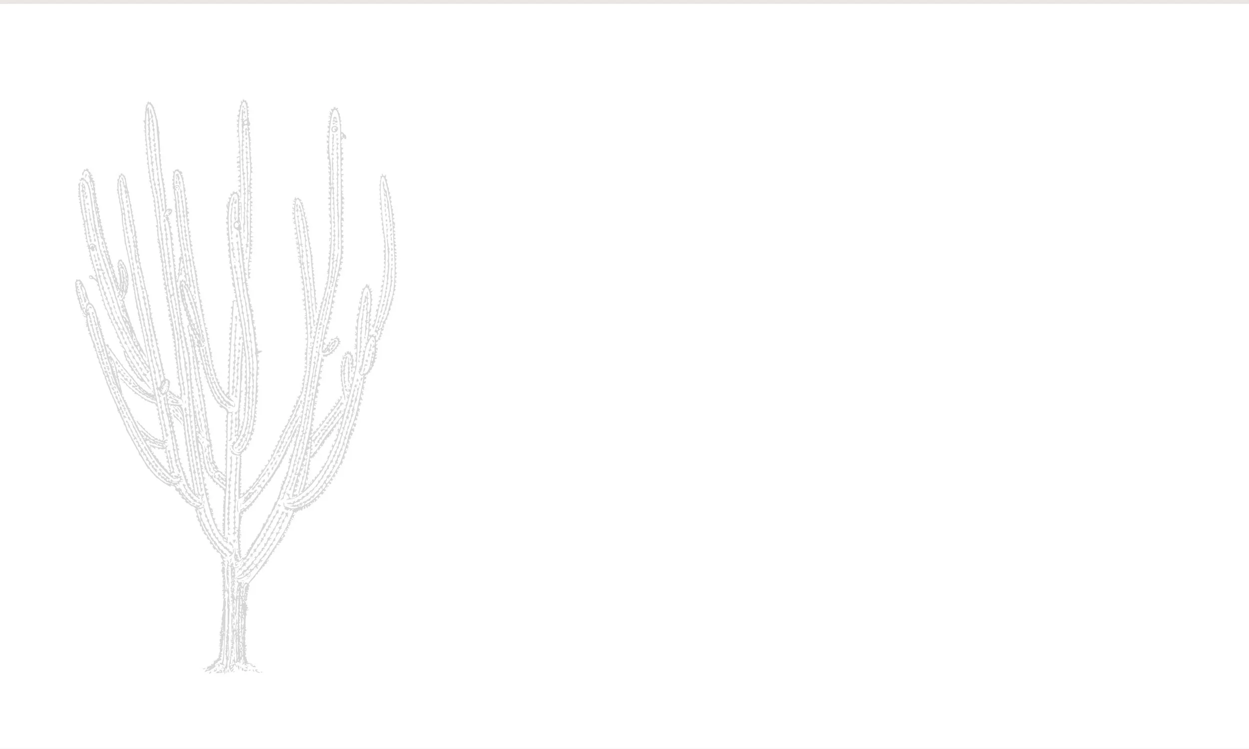 Untitled design-5.jpg