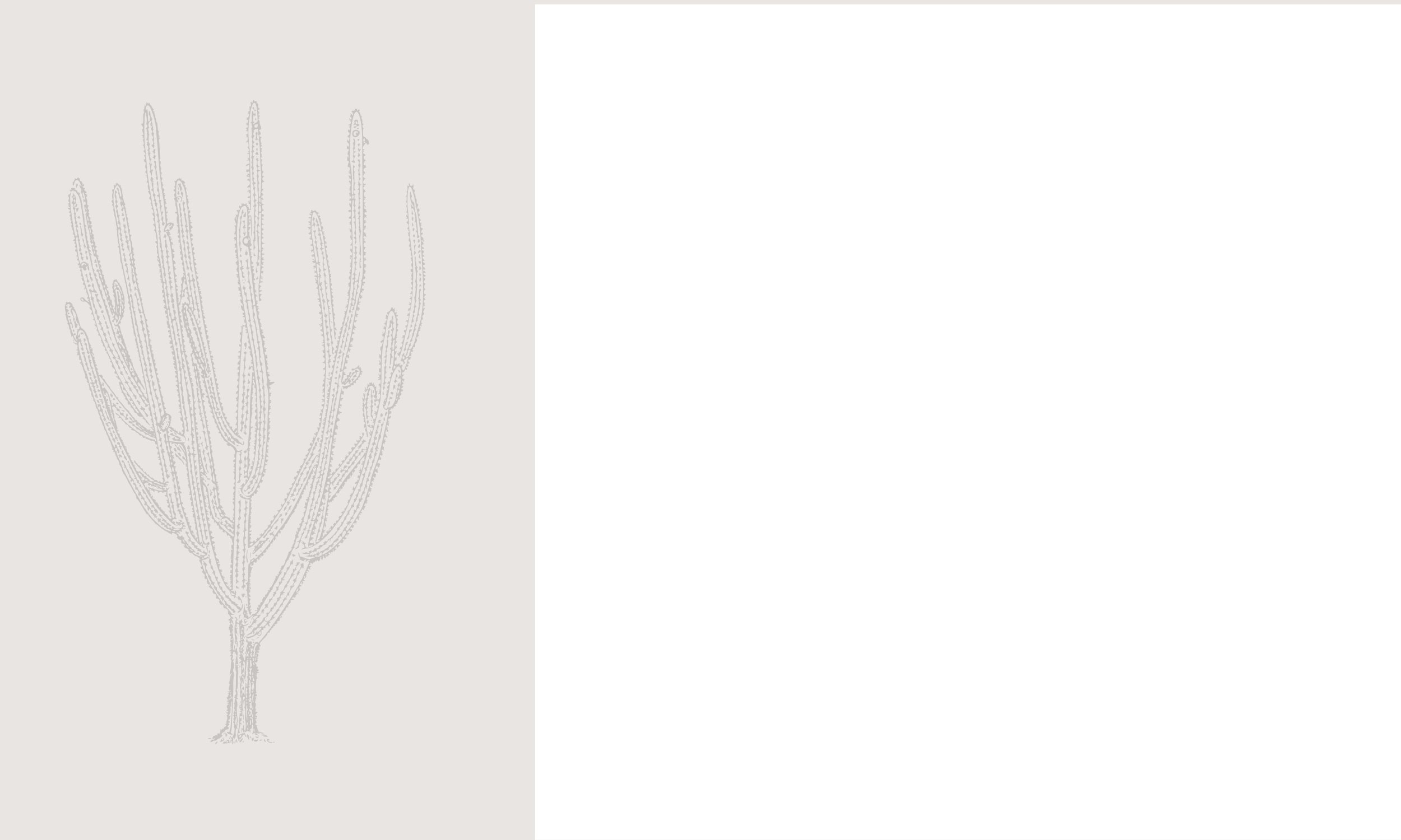 Untitled design-6.jpg