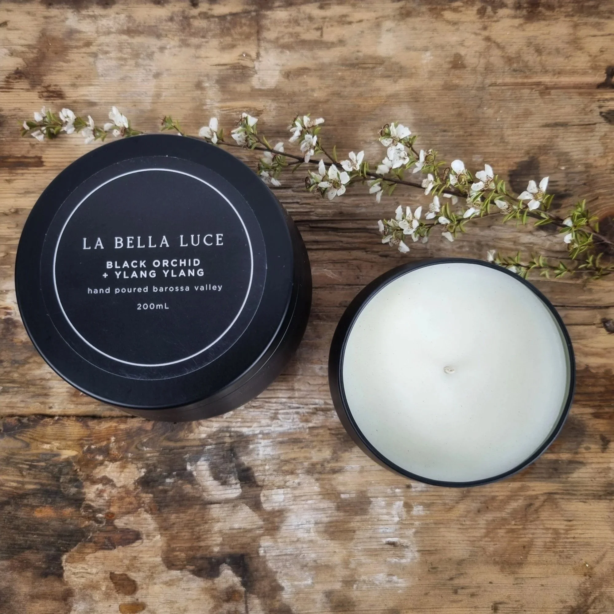 Black+Orchid.jpg