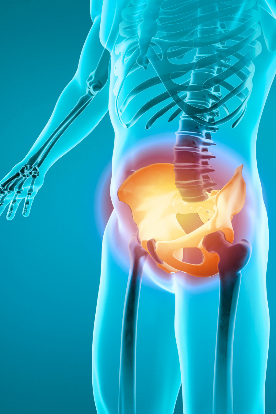Skeleton showing pelvic pain
