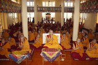 Namgyal monastery prayer gathering.jpg