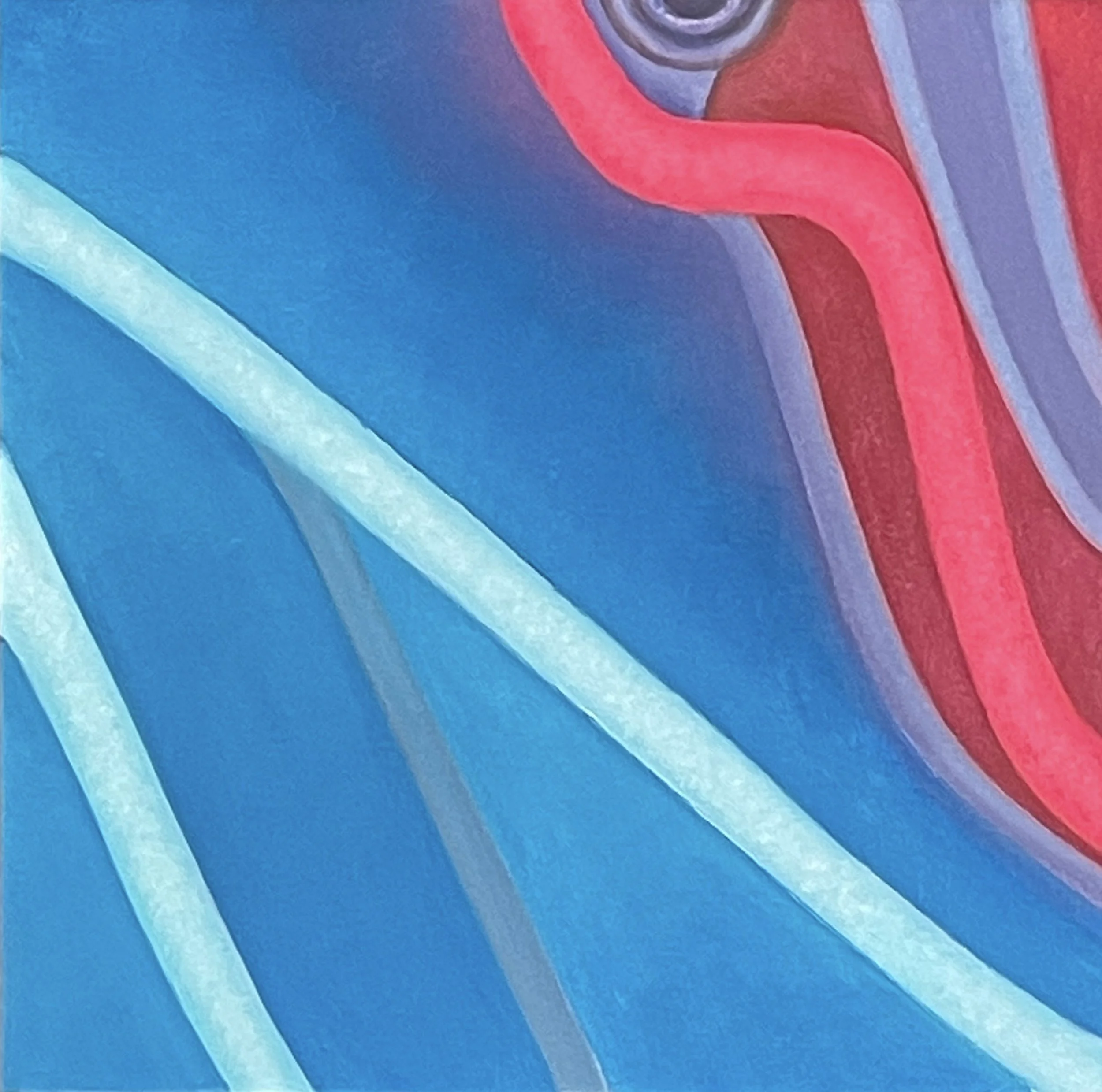 Funky Monkey 16 x 16.jpg