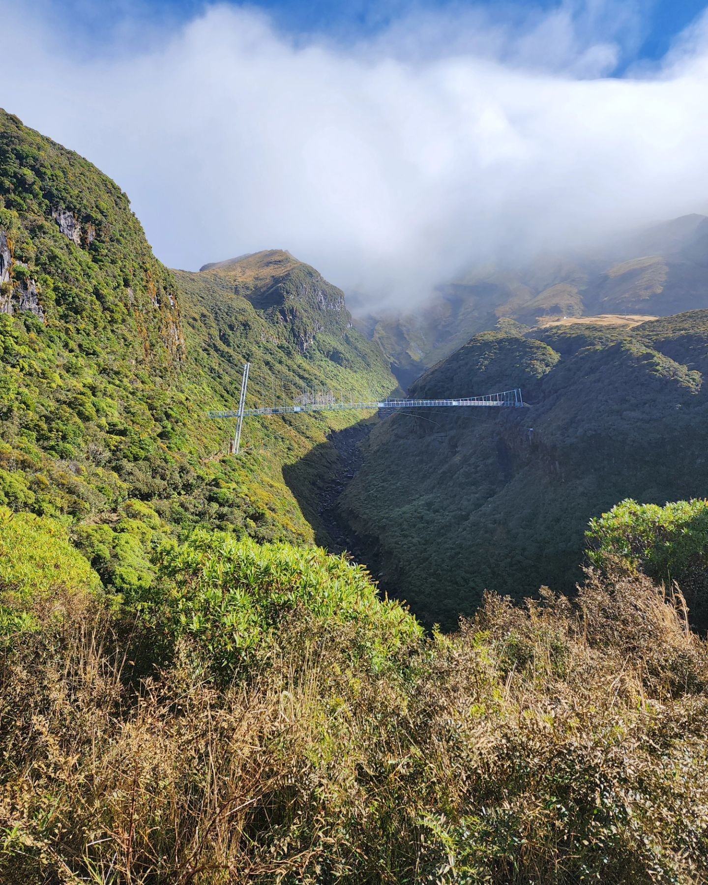 🍂A few deliveries in Stratford and a meeting at the Library today. 

⛰️We utilized the trip by taking a short tramp up Mt Taranaki to have a look at the new bridge! 

🌤As you can see by the photos the weather changed quickly while we were there! Bl