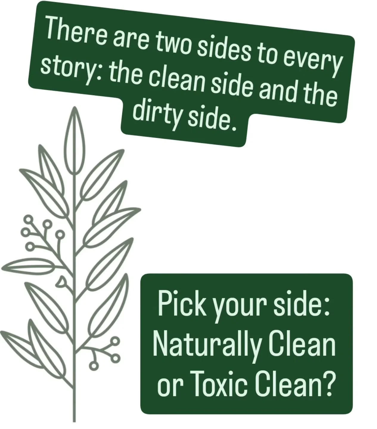 🌿 Natural cleaning recipes and methods aren&rsquo;t new. They&rsquo;re traditional, well known formulations that have been used and shared for generations.

There are countless natural cleaning recipes available online. Some are wonderful. Others, n