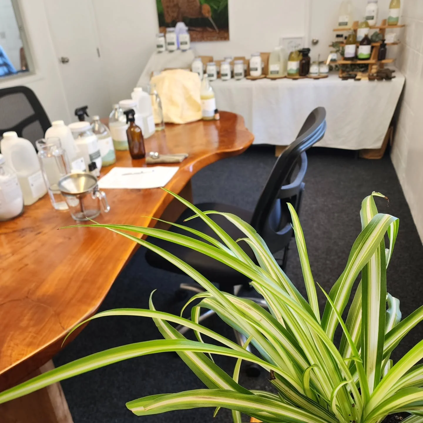 This Eco-Friendly Cleaning Workshop is ready to go ✨ 

And yes &mdash; there's more to baking soda, cleaning grade vinegar, and castile soap than you ever thought possible. Learn the why behind the ingredients, go home with real DIY skills, and never